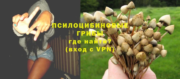 винт Михайловка