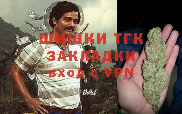 мдпв Михайлов