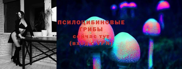 винт Михайловка