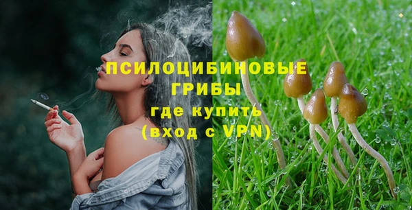 мдпв Михайлов
