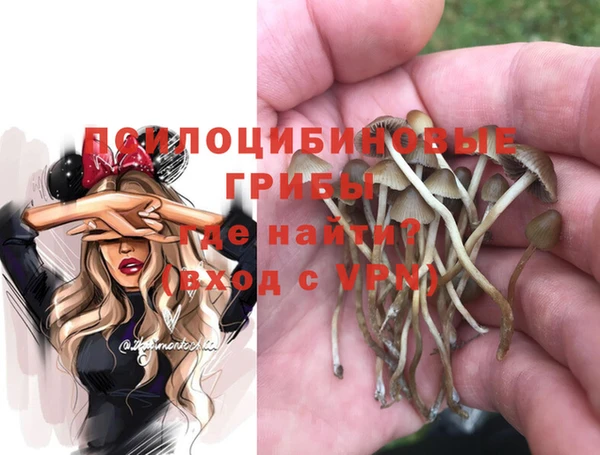 винт Михайловка