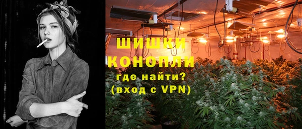 мдпв Михайлов