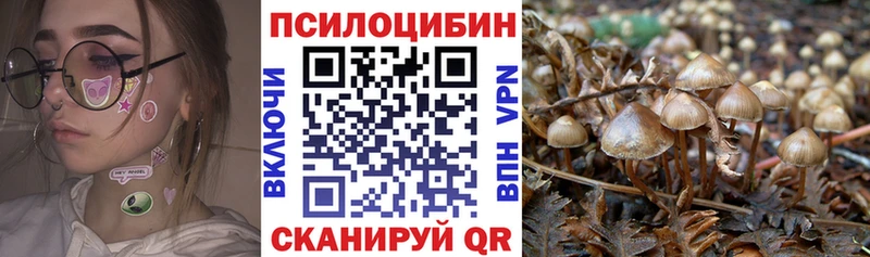 Купить  Ковдор  Псилоцибиновые грибы ЛСД 